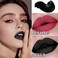 Black Matte Lipstick2 Pcs Black Matte Lip Liner and Liquid Lipstick SetWaterproof Long Lasting Lip Gloss StainMatte Liquid Lipstick for WomenNonStick Cup NonFading Liquid Lip Liner Lipgloss Set