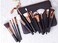 Professional 15 pc Rose Gold Makeup Brush Set with Natural Hair and Premium Bag