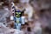 Roblox Action Collection  Matt Dusek Figure Pack Includes Exclusive Virtual Item
