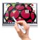 Longruner 5 Inch Touch Screen 800x480 TFT LCD Display for Raspberry Pi 3 2 Model B RPi 1 B B A A LSC5A 5 inch Touch Screen