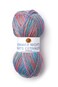 1 Skein Lion Brand Yarn 512310 Summer Nights Bonus Bundle Yarn Wildflowers