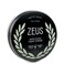 ZEUS Texture Cream Hair Pomade Medium Hold Natural Shine Water Soluble Cream Pomade for Men Made in USA 4 oz
