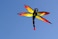 ZHUOYUE Dragonfly Kites for Kids and Adults Single Line Kite Easy Flying for Outdoor Nylon Fabric Best Kite with Flying Tool