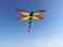 ZHUOYUE Dragonfly Kites for Kids and Adults Single Line Kite Easy Flying for Outdoor Nylon Fabric Best Kite with Flying Tool
