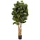 Nearly Natural 5 Fiddle Leaf Fig Artificial Trees 60in Green