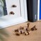 U Brands Wood Push Pins Walnut 20Count 2096U0624 Brown