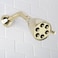 Speakman S2252PBE2 Polished Solid Brass Shower Head 3 Settings Anystream Technology Low Maintenance Efficient