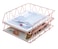 PAG 2 Packs Desktop File Organizer Metal Stackable Horizontal Letter Tray Paper Holder Rack Rose Gold