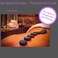 Portable Hot Massage Stone Heater Kit 16 Stones Warmer Set Ebook