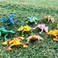 MICHLEY 25 Pieces Realistic Plastic Frog Toy Rubber Frog Love Rainforest Character Toy for Toddlers