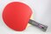 Butterfly Nakama S6 Table Tennis Racket  Lightweight Tremendous Speed with Heavy Spin  Nakama Series  Recommended for Advanced Level Ping Pong Play