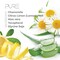 Pure By Gloss Conditioner  Fresh Lemon Scent  for All Hair Types  Cruelty Free and Paraben Free  Luxurious Moisturizing Softening  Detangling Formula  for Men and Women  85oz Each  3 Pack