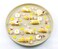 Silikomart Professional Micro Savarin 5 Silicone Mold