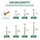Keadic 190Pcs 10 58 to 212 Zinc Plated Bugle Head Coarse Thread Drywall Screw Assortment Kit Wood Self Tapping Screws for Drywall Sheetrock Drilling Boards and More 7 Sizes