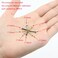 omyzam 8 Different Types of Small Wooden Nails and Self Tapping Screws Combination Toolbox Copper Nail Iron Nail Screws 1600pcs