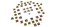 Masques Board Game