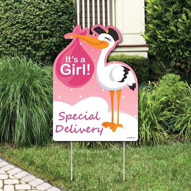 Big Dot of Happiness Girl Special Delivery  Baby Shower Decorations  Pink Its A Girl Stork Baby Announcement  Welcome Yard Sign