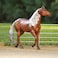 Breyer Traditional Series Latigo Dun It  Horse Toy Model  1 9 Scale  Model 1791