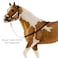 Breyer Traditional Series King American Paint Horse  Horse Toy Model  19 Scale  Model 1803