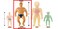 Original Stretch Toy  Stretchable Action Figure  1 ct Pack of 1