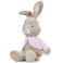 KIDS PREFERRED Peter Rabbit Flopsy Stuffed Animal Plush Bunny 21 Inches