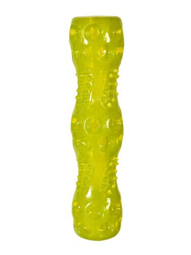 Chase n Chomp Durable TPR Squeaking Fetch Stick Dog Toy Small