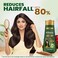 KESH KING Anti Hairfall Shampoo  with Ayurvedic Herbs  Aloe Vera  Provides Healthy Nourished Scalp  for Shiny Smooth Hairs  1149 Fl Oz340ml