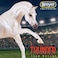 Breyer Traditional Series Thunder  Team Mascot  Horse Toy Model  105 x 725  19 Scale  Model 1811