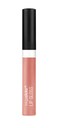 wet n wild Mega Slicks Lip Gloss Sun Glaze