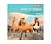 Breyer Spirit Riding Free  Deluxe Spirit and Friends Horse Painting Craft Kit