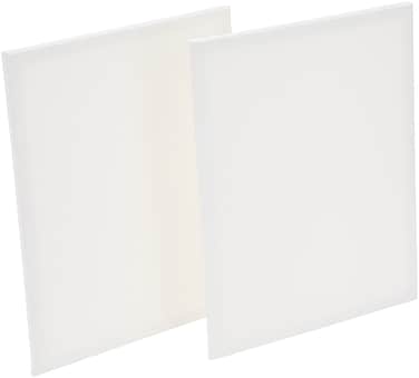 Sargent Art Value Pack Stretched Canvas 16 x 20 Inch Pack of 2 Double Acrylic Titanium Priming Perfect for Acrylic Oil and Art Projects Acrylic Pouring  Wet Media