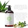 Laritelle Organic Shampoo 17 oz  Conditioner 16 oz  Prevents Hair Loss Promotes Hair Growth  Organic Quinoa  Keratin  Rosemary Ginger  Grapefruit  NO GMO SLS Gluten Parabens Phthalates