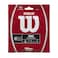 Wilson Natural Gut 16 Tennis String  Set White