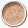 EX1 Pure Crushed Mineral Powder Foundation 20