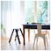 Hasegawa Ladders Lucano Step Stool 2 Black