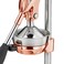 Cilio Commercial Grade Citrus Press Juicer Copper