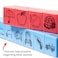 hand2mind Reading Rods Create Sight Words with Alphabet Blocks for Kids Ages 48 CVC Word Builders Linking Cubes Montessori Toys for Toddlers Kindergarten Homeschool Supplies Set of 82