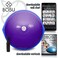 Bosu 7210850 Home Gym Equipment The Original Balance Trainer 65 cm Diameter Purple and Blue