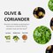 Cucina Purifying Hand Wash Refill 338 Oz Plastic Jug 2 Coriander and Olive Tree