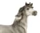 Breyer Traditional Series Hwin  Model Horse Toy  10 x 95  19 Scale  Model  1774
