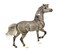 Breyer Traditional Series Hwin  Model Horse Toy  10 x 95  19 Scale  Model  1774