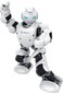UBTECH Alpha 1 Pro Humanoid Robot