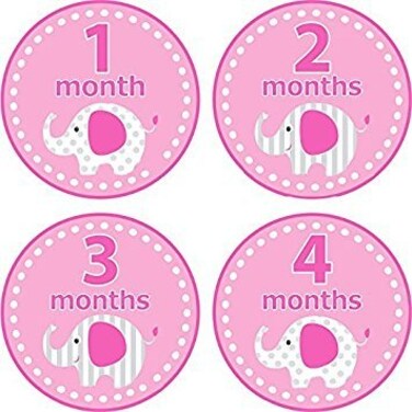 Homeorganizer Tech Baby Month Stickers Cartoon Elephant Boy Girl 112 Monthly Milestone Sticker Best Birthday Shower Gift Party Photo Age Sticker