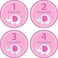 Homeorganizer Tech Baby Month Stickers Cartoon Elephant Boy Girl 112 Monthly Milestone Sticker Best Birthday Shower Gift Party Photo Age Sticker