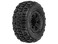 Proline Racing 119022 Trencher x SC 230 M2 Medium Tires Mounted On Split Six Wheels Fits Slash Rear Blitz