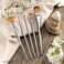 Royal  Langnickel Zen 5pc Standard Handle Brush Set Includes  Oval Wash Angular Shader Fan  Round Brushes