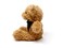 Fluffuns Teddy Bear Plush 9 3 Pack Cute Teddy Bears Stuffed Animals in 3 Colors  Stuffed Bears Dark Brown Golden White