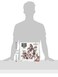 Cryptozoic Entertainment Walking Dead No Sanctuary Base Game