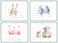 Pimpernel Wrendale Designs Zoological Placemats  Set of 4  Heat Resistant Mats  CorkBacked Board  Hard Placemat Set for Dining Table  Measures 157 x 117