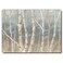 Counterart Set of 2 Hardboard Placemats Silver Birch
